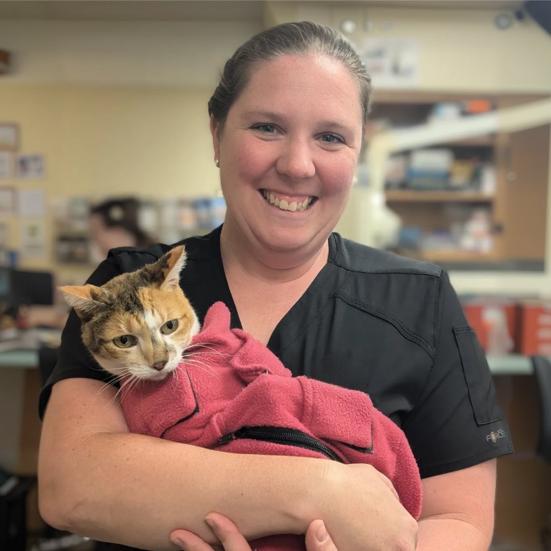 Woman holding cat in blanket Woman holding cat in blanket